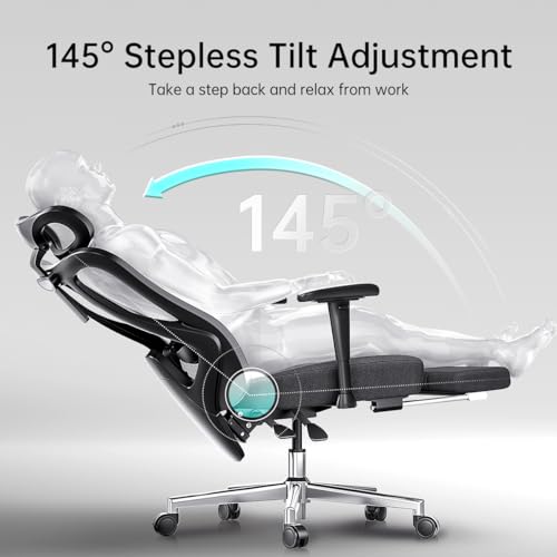 Hbada Ergonomic Office Chair with 2D Adjustable Armrest, Office Chair with 2D Adjustable Lumbar Support, Computer Chair with Tilt Function, Desk Chair with Footrest Black