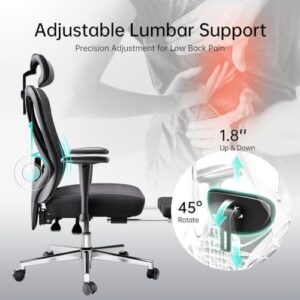 Hbada Ergonomic Office Chair with 2D Adjustable Armrest, Office Chair with 2D Adjustable Lumbar Support, Computer Chair with Tilt Function, Desk Chair with Footrest Black