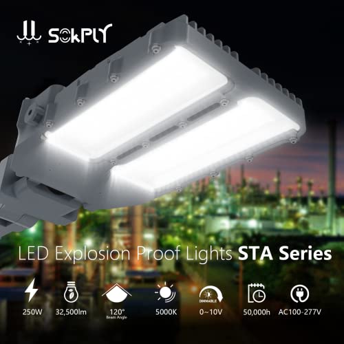 Sokply LED Explosion Proof Floodlight with Mount Bracket UL844 Certified 250W 32500LM (1250W HPS Eqv.), Class I Division II Hazardous Locations Industry Luminaires 0-10V Dimmable IP66, STA1 Series