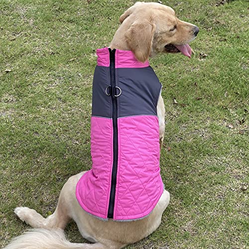 HonpraD Pet Clothes for Small Dogs Girls Dress Reflective Waterproof Pet Coat Winter Warm Dog Coat for Small Medium Large Dog