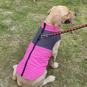 HonpraD Pet Clothes for Small Dogs Girls Dress Reflective Waterproof Pet Coat Winter Warm Dog Coat for Small Medium Large Dog