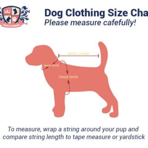 Neck for Me Clark Dog Shirt, Christmas Dog Shirt, Lightweight Shirt for Dog, Shirt for Puppies to Dogs 90 Pounds, Machine Washable, Clothes for Dogs (XXL 28-40 lbs)