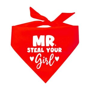 mr. steal your girl dog bandana (assorted colors)