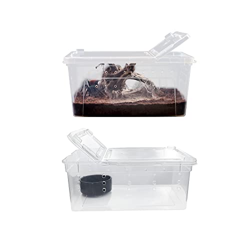 2 Pieces Reptile Transport Container Box Plastic Reptile Tubs Reptile Terrarium Snake Breeding Feeding Box Insect Tarantula Enclosure Tank Snail Spider Habitat Cage Mini Critter Keeper