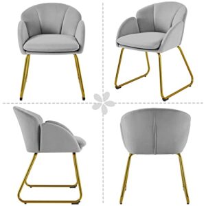 Yaheetech Flower Shape Velvet Armchair, Modern Side Chair Vanity Chair with Golden Metal Legs for Living Room/Dressing Room/Bedroom/Home Office/Kitchen, Gray