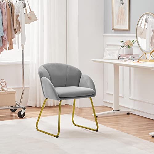 Yaheetech Flower Shape Velvet Armchair, Modern Side Chair Vanity Chair with Golden Metal Legs for Living Room/Dressing Room/Bedroom/Home Office/Kitchen, Gray