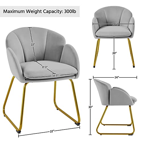 Yaheetech Flower Shape Velvet Armchair, Modern Side Chair Vanity Chair with Golden Metal Legs for Living Room/Dressing Room/Bedroom/Home Office/Kitchen, Gray