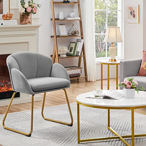 Yaheetech Flower Shape Velvet Armchair, Modern Side Chair Vanity Chair with Golden Metal Legs for Living Room/Dressing Room/Bedroom/Home Office/Kitchen, Gray