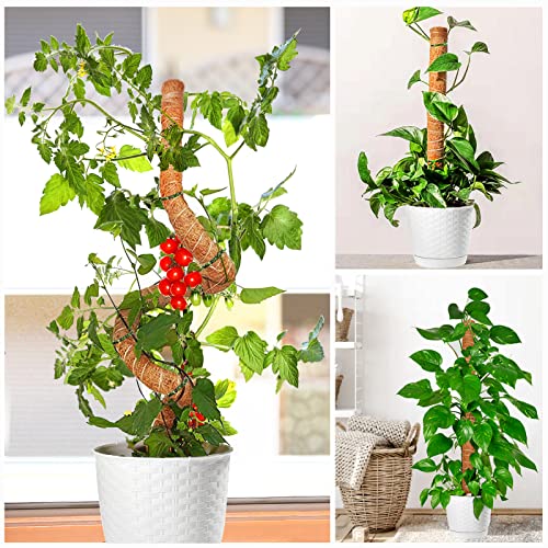 SMINDER Moss Pole for Plants Monstera, 2PCS 47.2 Inch Bendable Plants Stakes, Coco Coir Pole Potted Plants Support, Plant Sticks for Indoor Climbing & Growing Upwards