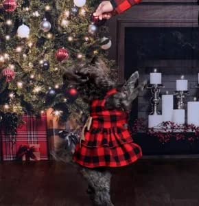 Red Buffalo Plaid Christmas Dog Dress, Holiday Dog Dress, Christmas Dog Clothes, Fits Dogs XS to 5XL (5XL 60-95lbs)