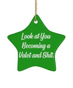 reusable valet , look at you becoming a valet and shit., holiday star ornament for valet