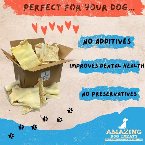 Amazing Dog Treats - Beef Cheek Monster Strips (2 Pcs) - NO Odor - Thick Cut - Rawhide Alternative - Beef Cheek Slice Chip Sticks - No Dyes, Chemicals, or Preservatives