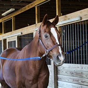 Tack Shack of Ocala Nylon Cross Ties, Set of 2 Cross Ties, Cross Ties for Horses, Quick Release Cross Ties, Stable Supplies, Stable Supplies for Horses (Hunter)