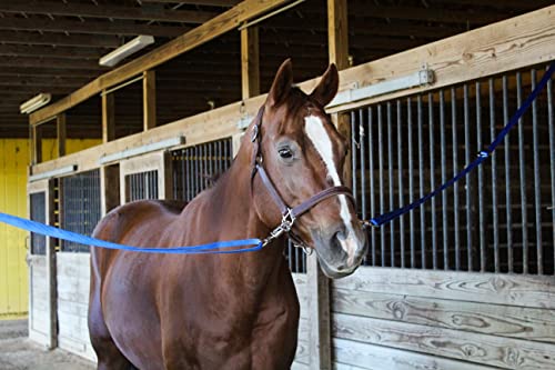 Tack Shack of Ocala Nylon Cross Ties, Set of 2 Cross Ties, Cross Ties for Horses, Quick Release Cross Ties, Stable Supplies, Stable Supplies for Horses (Hunter)