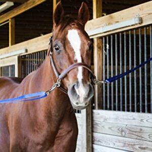 Tack Shack of Ocala Nylon Cross Ties, Set of 2 Cross Ties, Cross Ties for Horses, Quick Release Cross Ties, Stable Supplies, Stable Supplies for Horses (Hunter)