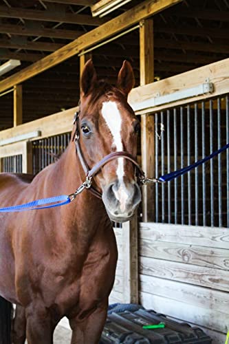 Tack Shack of Ocala Nylon Cross Ties, Set of 2 Cross Ties, Cross Ties for Horses, Quick Release Cross Ties, Stable Supplies, Stable Supplies for Horses (Hunter)