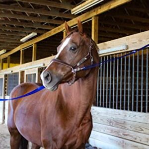 Tack Shack of Ocala Nylon Cross Ties, Set of 2 Cross Ties, Cross Ties for Horses, Quick Release Cross Ties, Stable Supplies, Stable Supplies for Horses (Hunter)