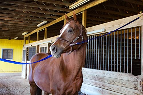 Tack Shack of Ocala Nylon Cross Ties, Set of 2 Cross Ties, Cross Ties for Horses, Quick Release Cross Ties, Stable Supplies, Stable Supplies for Horses (Hunter)