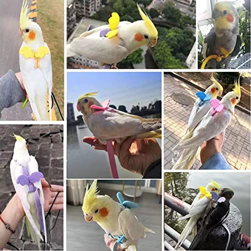 Pet Parrot Bird Harness Leash Adjustable Bird Flying Harness Traction Rope with Cute Wing for Parrots Pigeons Budgerigar Lovebird Cockatiel Mynah Outdoor Training Toy (S, Purple)