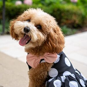 Christian Siriano New York Black Polka Dot Bubble Hem Dress for Dogs, XS