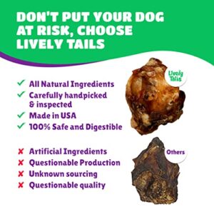 Lively Tails Dog Bones for Aggressive Chewers, Knee Caps for Dogs, Dog Bones for Large Dogs, Dog Bones for Medium Dogs and Small Dogs, Beef Bones for Dogs Long Lasting, Knee Bones for Dogs, 10 Count