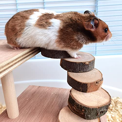 HEEPDD Wooden Hamster Platform, 2 Tier Small Pets Climbing Platform with Fence Ladder for Hamster Gerbil Mice Bird Guinea Pig