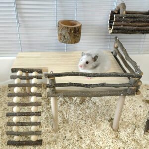 Tnfeeon Wooden Hamster Platform for Cage with Ladder Dwarf Hamster Standing Platform Wood Cage Accessories Exercise Toy for Mouse Guinea Pig Chinchilla Gerbil Squirrel