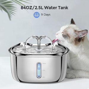 Cat Water Fountain with Water Level Window and LED Light, Automatic Pet Water Fountain Cat Dog Water Dispenser, 2.5L/84Oz Water Fountain Stainless Steel with 3 Replacement Filters for Multiple Pets