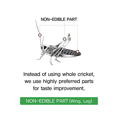 REPTQ Cricket+ Nutrients for Geckos - Protein, Lactic Acid, Vitamin D3 - Dried Insects for Crested/Leopard Gecko - High Calcium Cricket Diet Food - All Natural Gecko Food Munchies