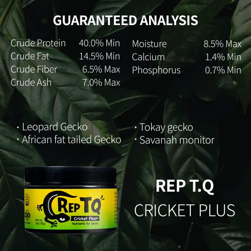 REPTQ Cricket+ Nutrients for Geckos - Protein, Lactic Acid, Vitamin D3 - Dried Insects for Crested/Leopard Gecko - High Calcium Cricket Diet Food - All Natural Gecko Food Munchies