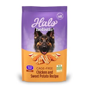 halo holistic adult dog grain free cage-free chicken & sweet potato recipe 3.5 lb bag