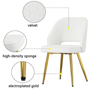 Ebullient Modern Velvet Dining Chairs Set of 2, Upholstered Living Room Accent Chairs, Gold Vanity Chairs，mid Century Chair for Living Room Kitchen Bedroom (White + Gold Legs, Set of 2)