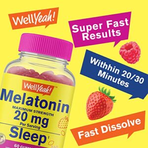 WellYeah Melatonin Gummies 20mg (2 Pack) - Naturally Sourced Flavors - Drug-Free Gummy Supplement - Gluten Free and Gelatin Free, Vegetarian - 60 Gummies