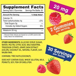 WellYeah Melatonin Gummies 20mg (2 Pack) - Naturally Sourced Flavors - Drug-Free Gummy Supplement - Gluten Free and Gelatin Free, Vegetarian - 60 Gummies