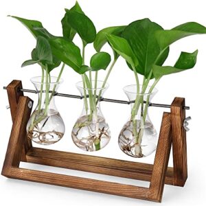 yibot plants propagation stations birthday gift for women plant terrarium with wooden stand for hydroponics plants home garden office decor - 3 glass vase