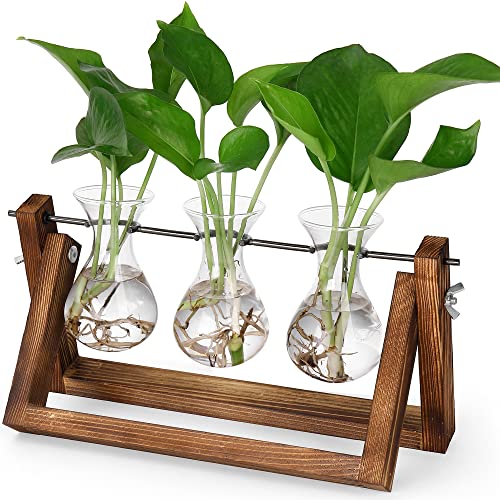 YIBOT Plants Propagation Stations Birthday Gift for Women Plant Terrarium with Wooden Stand for Hydroponics Plants Home Garden Office Decor - 3 Glass Vase