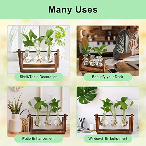 YIBOT Plants Propagation Stations Birthday Gift for Women Plant Terrarium with Wooden Stand for Hydroponics Plants Home Garden Office Decor - 3 Glass Vase