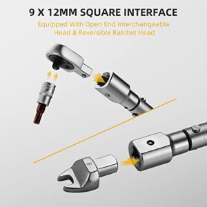 TAGVIT 15 PCS Open End Interchangeable Torque Wrench Set, 9mm x 12mm Interchangeable Head Torque Wrench for Bicycle, Air Conditioning Maintenance, etc.(4-22 ft.-lb/5.4-30 Nm)