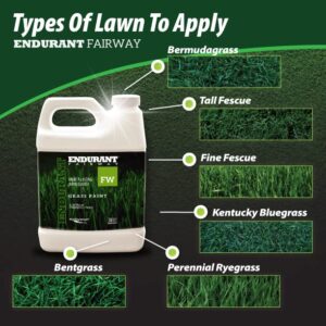 Endurant Green Grass Paint for Lawn and Fairway Treats Dry or Patchy Lawn – Pet Friendly Eco-friendly Lawn Spray Paint and Turf Grass Dye (32 oz, Fairway)