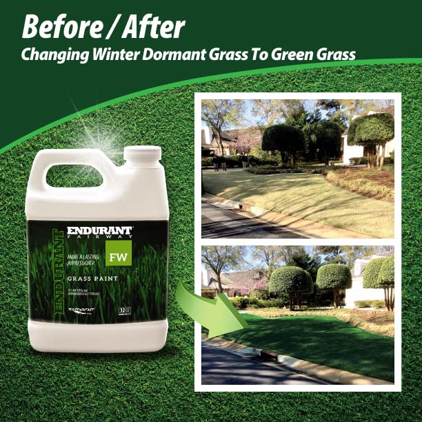 Endurant Green Grass Paint for Lawn and Fairway Treats Dry or Patchy Lawn – Pet Friendly Eco-friendly Lawn Spray Paint and Turf Grass Dye (32 oz, Fairway)