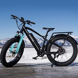 HAOQI Electric Bike for Adults 48V 20AH Removable Cells Battery Black Leopard Pro, 750W Brushless Motor, 26" x 4.0 Fat Tire 28MPH, 7-Speed