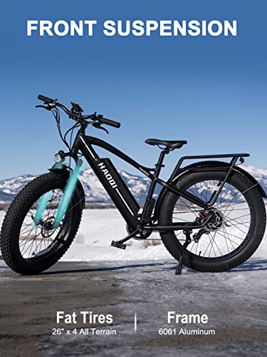 HAOQI Electric Bike for Adults 48V 20AH Removable Cells Battery Black Leopard Pro, 750W Brushless Motor, 26" x 4.0 Fat Tire 28MPH, 7-Speed