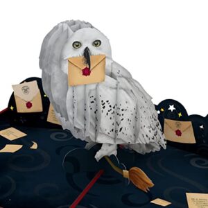 lovepop harry potter hedwig™ birthday delivery pop up card, 5 x 7 inches, handcrafted 3d pop-up greeting card, card for kids