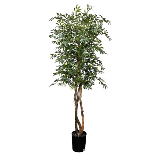 Hand-Made 6.5' Olive Artificial Tree with Ethically Sourced Real Wood Trunks | Green | Cypress & Alabaster