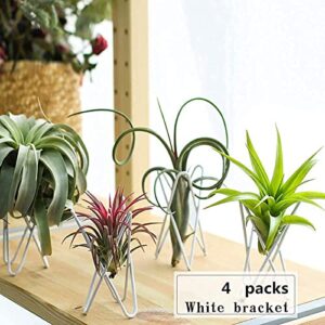 4 packs airplant plants holder metal base geometric air plants stand tabletop air ferns planter rack white tillandsia display containers himmeli decor .