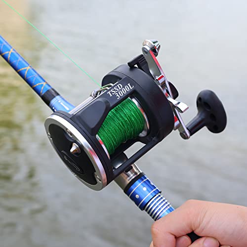 Sougayilang Trolling Reel, Level Wind Fishing Reel, Conventional Reel for Salmon-4000 Right Handle