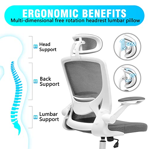 KERDOM Ergonomic Office Chair, Breathable Mesh Desk Chair, Lumbar Support Computer Chair with Headrest and Flip-up Arms, Swivel Task Chair, Adjustable Height Gaming Chair, Darkgray