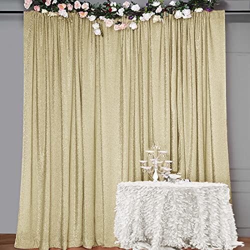 SFN SKY 10ft x10ft Champagne Spandex Curtain Party Wedding Backdrop Photography Background Photo Booth Backdrop Studio Background (Champagne)