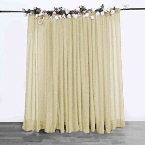 SFN SKY 10ft x10ft Champagne Spandex Curtain Party Wedding Backdrop Photography Background Photo Booth Backdrop Studio Background (Champagne)