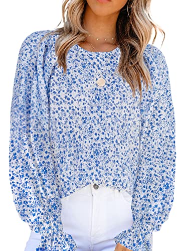 Dokotoo Cute Tops for Women Floral Print Round Neck Smocked Long Sleeve Blouses Stylish Summer Shirts Babydoll Chiffon Clothing for Women Blue M